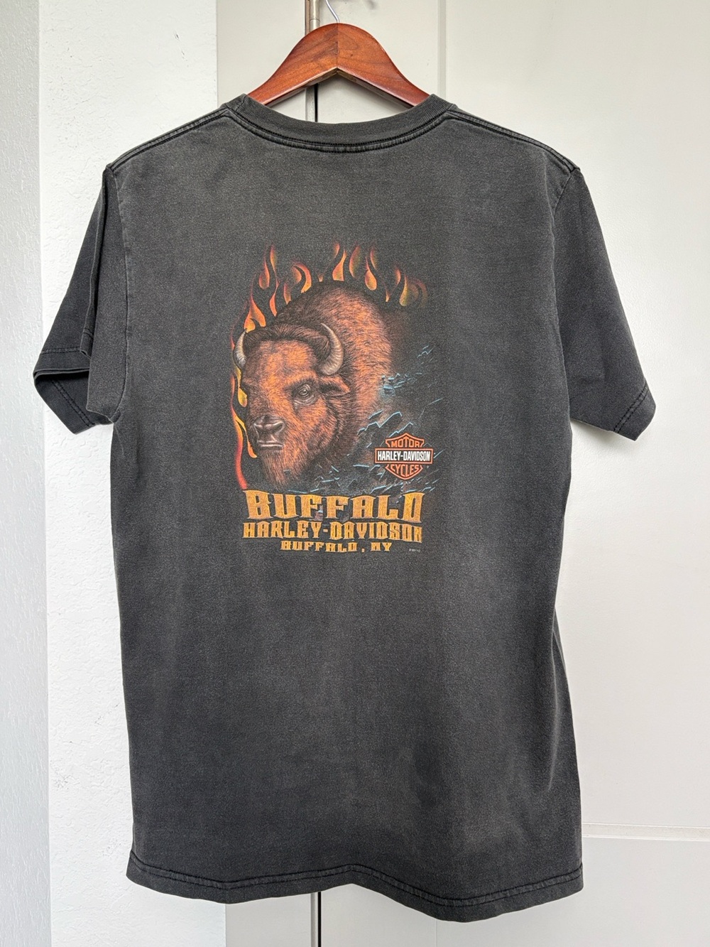 VINTAGE Y2K HARLEY DAVIDSON BUFFALO NEW YORK GRAPHIC SHORT SLEEVE TSHIRT MENS XL